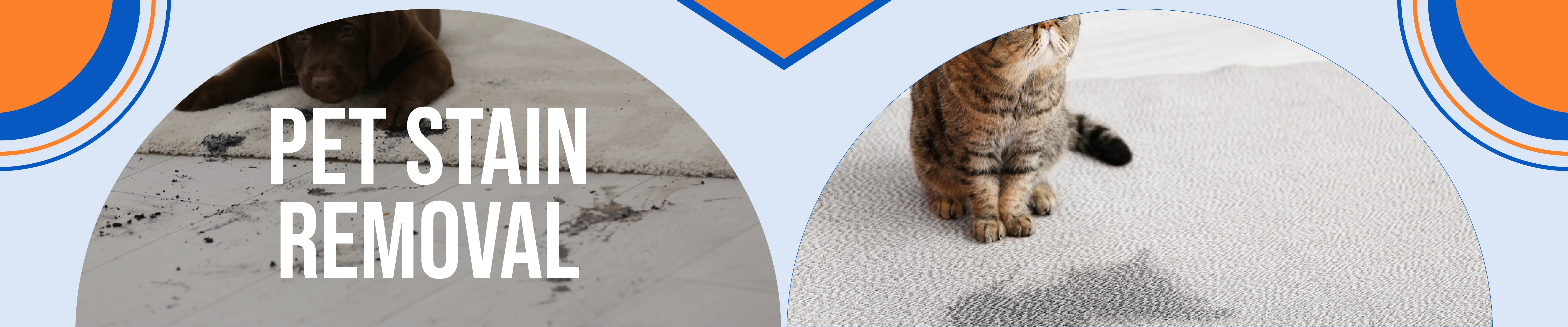 carpet cleaning in NY, carpet cleaning in new york, carpet cleaning NY, carpet cleaners in NY, carpet cleaners in new york, commercial carpet cleaning, commercial carpet cleaning in NY, NY rug cleaners, rug cleaning services in NY, same day carpet cleaning, same day rug cleaning