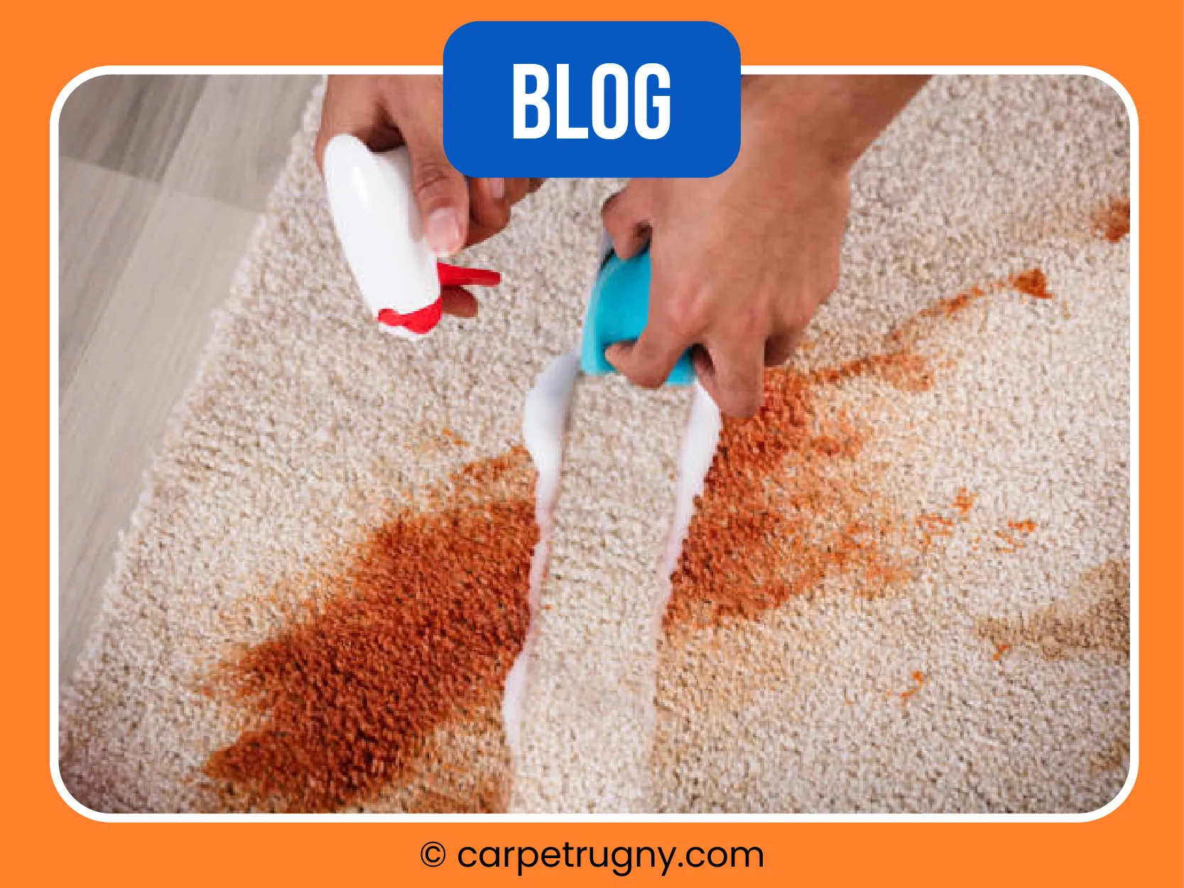 carpet cleaning in NY, carpet cleaning in new york, carpet cleaning NY, carpet cleaners in NY, carpet cleaners in new york, commercial carpet cleaning, commercial carpet cleaning in NY, NY rug cleaners, rug cleaning services in NY, same day carpet cleaning, same day rug cleaning