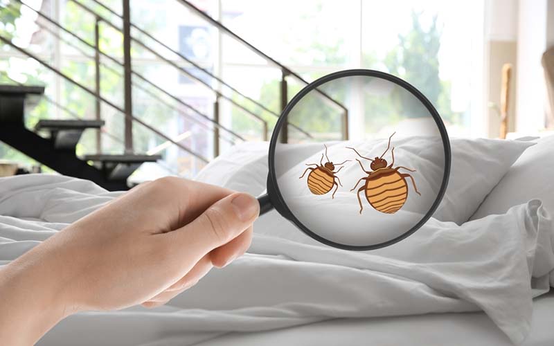 carpet cleaning in NY, carpet cleaning in new york, carpet cleaning NY, carpet cleaners in NY, carpet cleaners in new york, commercial carpet cleaning, commercial carpet cleaning in NY, NY rug cleaners, rug cleaning services in NY, same day carpet cleaning, same day rug cleaning