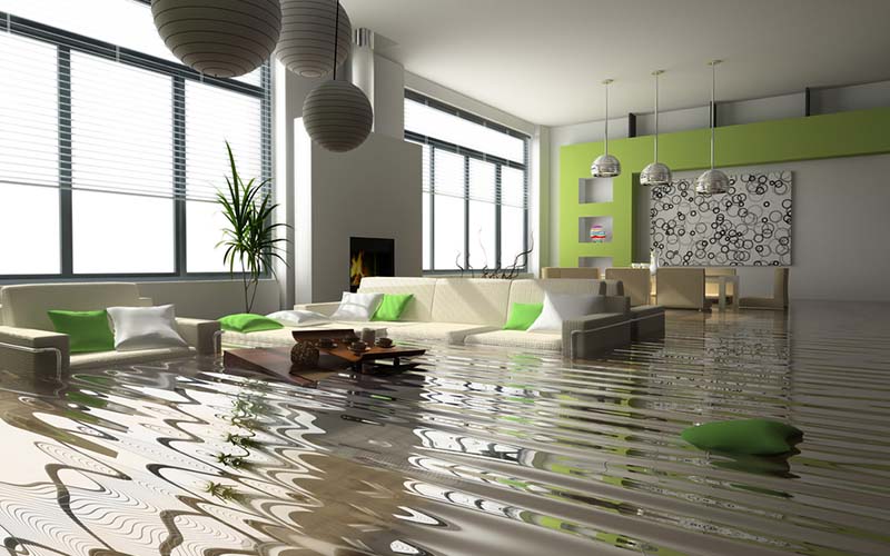 carpet cleaning in NY, carpet cleaning in new york, carpet cleaning NY, carpet cleaners in NY, carpet cleaners in new york, commercial carpet cleaning, commercial carpet cleaning in NY, NY rug cleaners, rug cleaning services in NY, same day carpet cleaning, same day rug cleaning