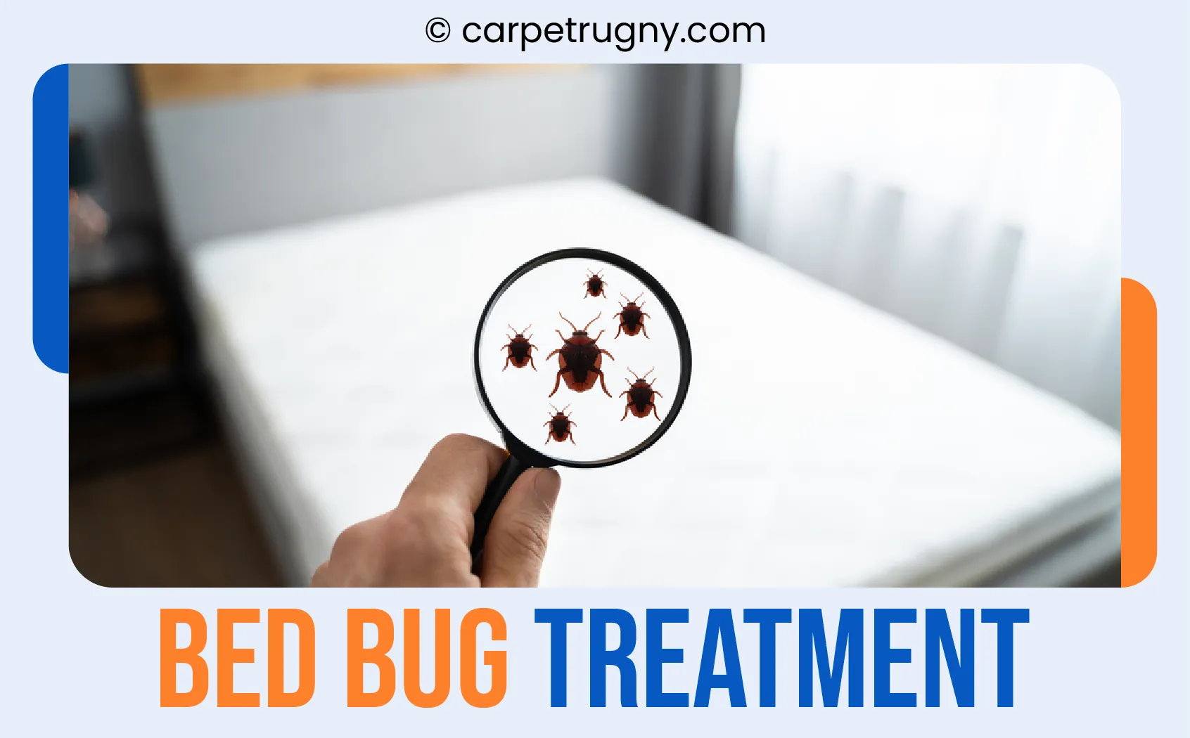 carpet cleaning in NY, carpet cleaning in new york, carpet cleaning NY, carpet cleaners in NY, carpet cleaners in new york, commercial carpet cleaning, commercial carpet cleaning in NY, NY rug cleaners, rug cleaning services in NY, same day carpet cleaning, same day rug cleaning